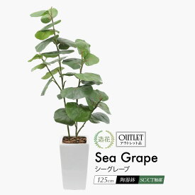 フェイクグリーン 観葉植物 フェイク 人工観葉植物 大型 光触媒 消臭 抗菌 風水 おしゃれ リビング 大きい 鉢植え CT触媒 リアル インテリア 北欧 お祝い 玄関 開店祝い 新築祝い 贈り物 送料無料 [rcp] / アウトレット 訳あり シーグレープ 陶器鉢M 全高125cm