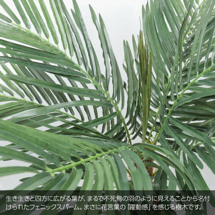 楽天市場 フェニックスパーム 135cm 鉢植 陶器鉢 Ct触媒 ヤシの木 フェイクグリーン 大型 観葉植物 フェイク リアル 造花 インテリア 人工観葉植物 光触媒 フェイクグリーンの神戸花物語