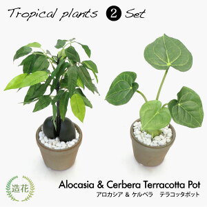 yyVX[p[Z[ z 50%OFFztFCNO[ ~j  AJVA lHϗtA  G} CTG} L  CeAO[ 킢  Px Px A