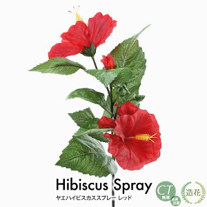 nCrXJXXv[ }  ԍ G tFCNO[ ϗtA tFCN A lHϗtA G} [rcp]