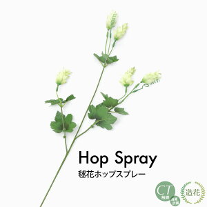 {ԃzbv Xv[ }  ԍ tFCNO[ tFCN A lHϗtA G} [rcp]