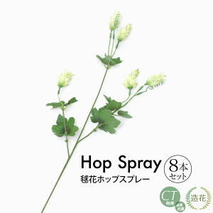 yyVX[p[Z[ 20%OFFz{ԃzbv Xv[ } 8{Zbg  ԍ tFCNO[ tFCN A lHϗtA G} [rcp]