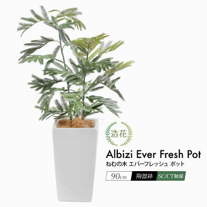 yubNtCf[ 20%OFFZ[ztFCNO[ ϗtA tFCN lHϗtA A  lmL Go[tbV |bg 90cm A 픫 ̖ CeA CTG} G} [r