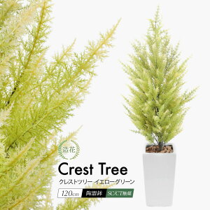 tFCNO[ ϗtA tFCN lHϗtA A  CG[O[ 120cm NXgc[ Rjt@[ S[hNXg A 픫 CTG} G} [rcp]