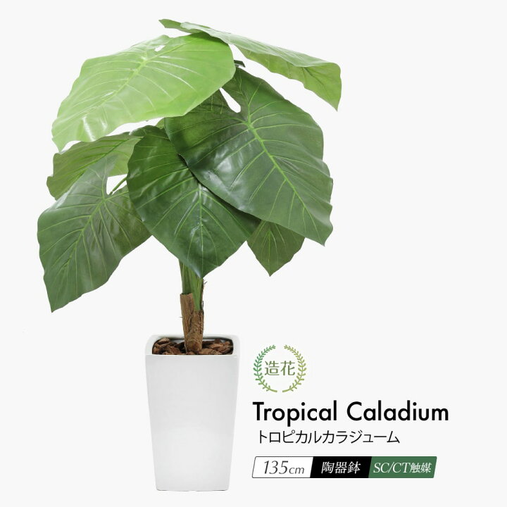 楽天市場】【楽天スーパーSALE 40%OFF】フェイクグリーン 観葉植物 