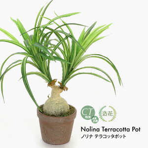 tFCNO[ ϗtA tFCN lHϗtA  ~j  G} mi eRb^|bg A ~jϗt  A CeA  O[ CTG} L R lC [rcp]