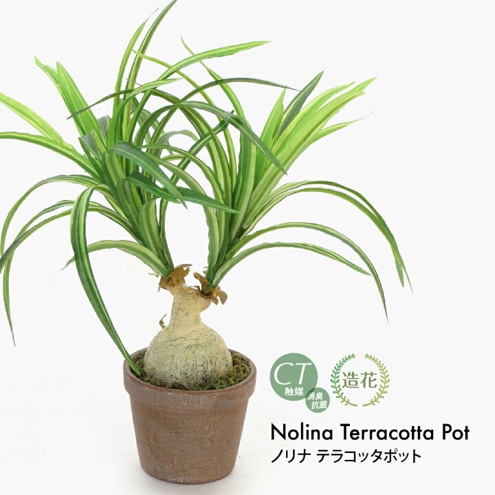 楽天市場】フェイクグリーン 観葉植物 フェイク 人工観葉植物 卓上 