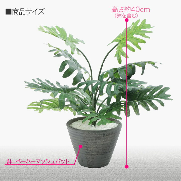 楽天市場】フェイクグリーン 観葉植物 フェイク リアル 人工観葉植物 