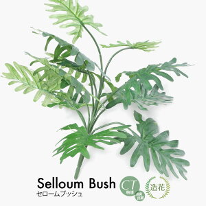 yyVX[p[Z[ 20%OFFzZ[ubV  ԍ tFCNO[ tFCN A lHϗtA G} [rcp]