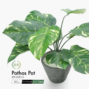 _10%OFFN[|^ tFCNO[ ϗtA tFCN A lHϗtA   y[p[}bV|bg 40cm |gX A ~j ^ CeA G} [rcp]