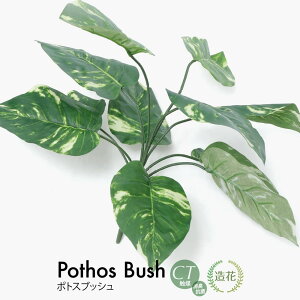 yyVX[p[Z[ 20%OFFztFCNO[ } |gXubV  ԍ tFCN A lHϗtA G} [rcp]