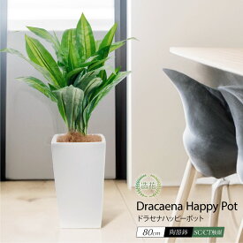 フェイクグリーン 観葉植物 フェイク 人工観葉植物 大型 光触媒 消臭 ハワイ 造花 おしゃれ リビング 大きい 本物そっくり 鉢植え 陶器 CT触媒 リアル 南国 トロピカル インテリア 北欧 お祝い / ドラセナ ハッピーポット 80cm [rcp][nnf]