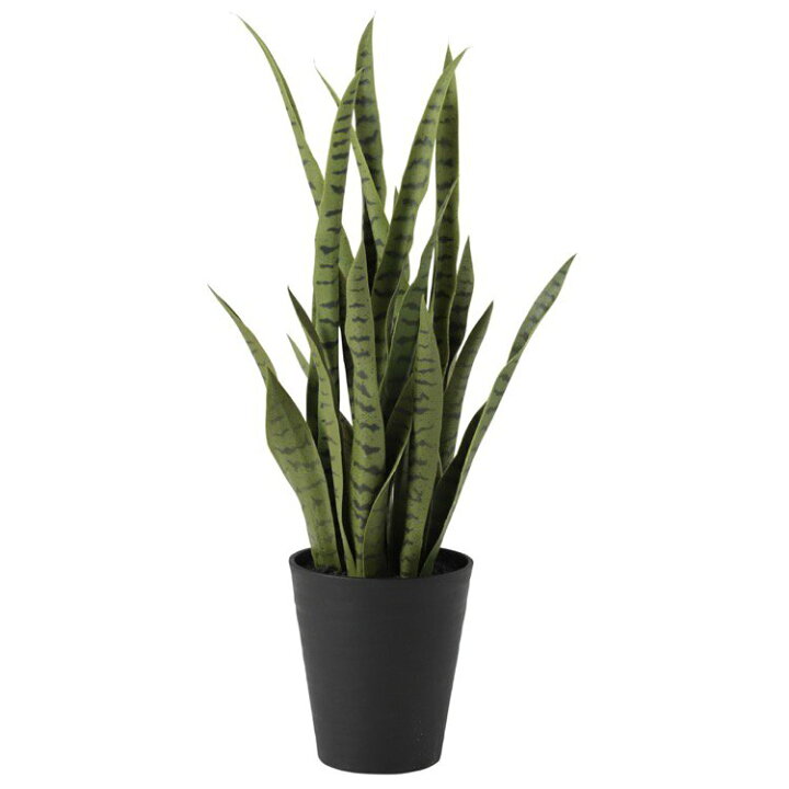楽天市場 観葉植物 造花 サンスベリア グリーン サンセベリア 80cm 鉢植 フェイクグリーン 人工観葉植物 光触媒 Ct触媒 インテリア 楽ギフ フェイクグリーンの神戸花物語 楽天市場 観葉植物 造花 サンスベリア グリーン サンセベリア 80cm 鉢植 フェイクグリーン 人工観葉植物 光触媒 Ct触媒 インテリア 楽ギフ フェイクグリーンの神戸花物語