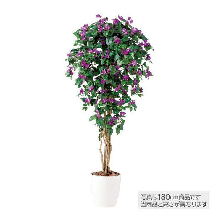 楽天市場 人工観葉植物 大型 ブーゲンビレアリアナ ブーゲンビリア 0cm 鉢植 観葉植物 造花 フェイクグリーン インテリア フェイクグリーンの神戸花物語