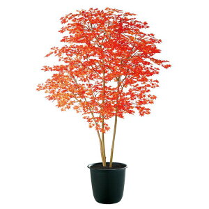 y[J[z lHϗtA ^ }~W RED FST 200cm A tFCNO[ ϗtA  CeA ysz