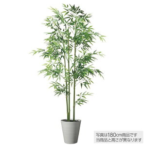 tFCNO[ ϗtA tFCN lHϗtA ^ G}  VR| |3{ 150cm A ou[ ^ lH G} CTG} CeA ItBX ۈ牀 wZ { X