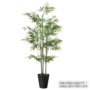 y[J[z  ^ VR |3{ (ou[) 200cm A tFCNO[ lH ϗtA CeA ItBX ۈ牀 wZ { X ysz