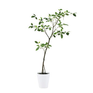 フェイクグリーン 観葉植物 フェイク 人工観葉植物 大型 光触媒 人工ガジュマル FST 高さ約120cm リアル 造花 鉢植 光触媒 CT触媒 インテリア ディスプレイ