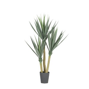 tFCNO[ ϗtA tFCN lHϗtA ^ G} lHbJ 125cm A  A G} CTG} CeA fBXvC