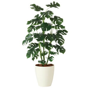 tFCNO[ ϗtA tFCN lHϗtA ^ G} lH G} ^ Xe R 110cm A O[ CeA  CTG} j