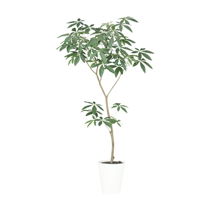 楽天市場】フェイクグリーン 観葉植物 フェイク 人工観葉植物 大型 