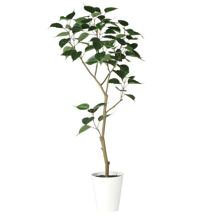 楽天市場】フェイクグリーン 観葉植物 フェイク 人工観葉植物 大型 