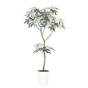 tFCNO[ ϗtA tFCN lHϗtA ^ G} lHpL ~L[EFC FST 180cm A  A G} CTG} CeA fBXvC