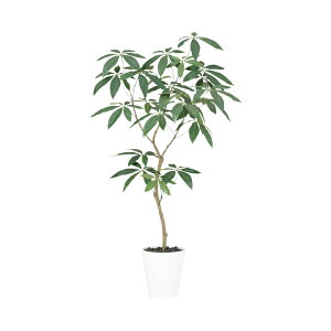 tFCNO[ ϗtA tFCN lHϗtA ^ G} lHpL FST 120cm A  A G} CTG} CeA fBXvC