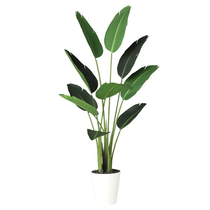 楽天市場】フェイクグリーン 観葉植物 フェイク 人工観葉植物 大型 