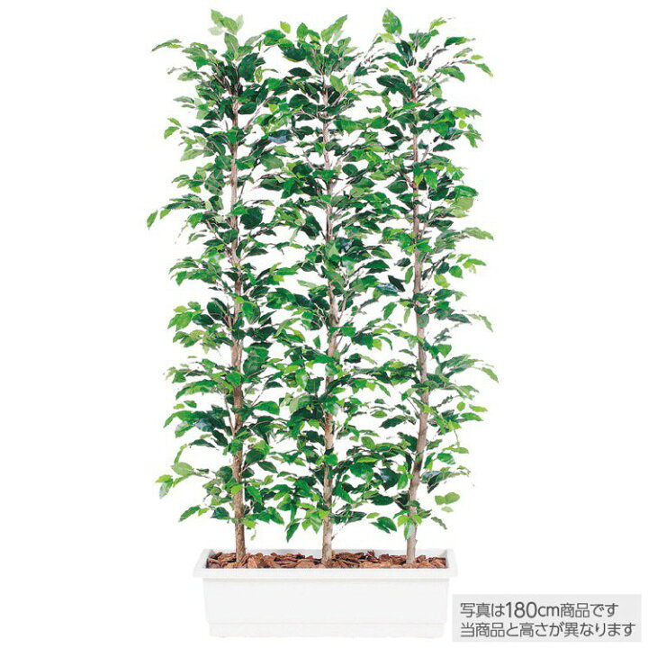 楽天市場 人工観葉植物 ベンジャミン フィカス ベンジャミナ パーテーション 150cm 鉢植 目隠し 観葉植物 造花 大型 フェイクグリーン 光触媒 Ct触媒 インテリア オフィス ソーシャルディスタンス フェイクグリーンの神戸花物語