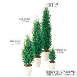 【ラテックス】人工観葉植物 ゴールドクレスト 90cm（造花・フェイクグリーン・フェイクプラント・小さいゴールドクレスト）