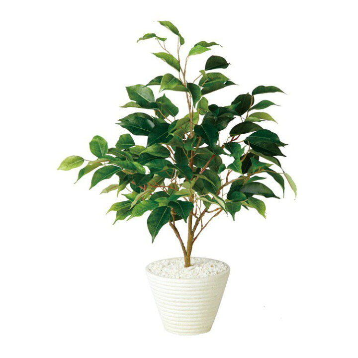 楽天市場 テーブル ベンジャミン 55cm フェイクグリーン人工観葉植物 鉢植 造花 光触媒 Ct触媒 インテリア 花言葉 永遠の愛 友情 信頼 結婚 フェイクグリーンの神戸花物語