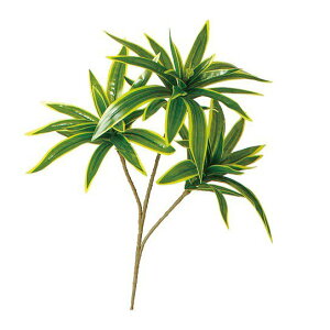 tFCNO[ } CfBA Xv[ S 35cm ϗtA  lHϗtA G} CTG} CeA