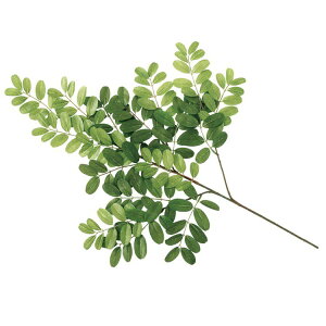 tFCNO[ AJVA Xv[ 72cm ϗtA  lHϗtA G} CTG} CeA