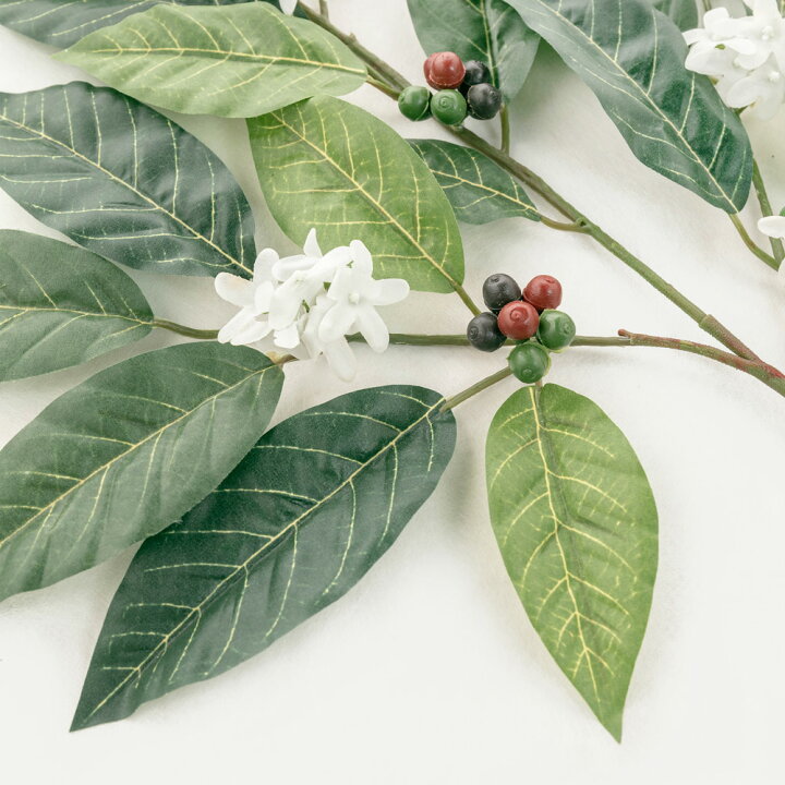 楽天市場】花材 コーヒー スプレー 60cm コーヒーの木 人工観葉植物 