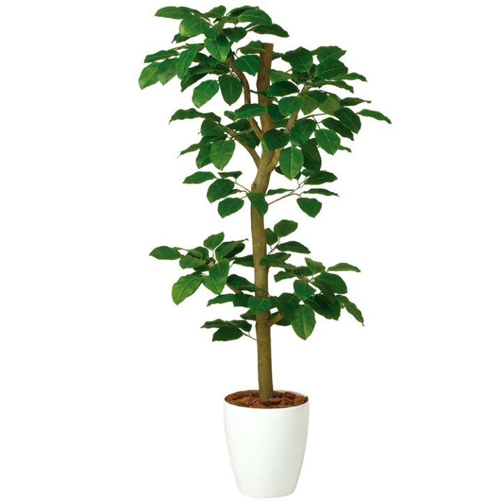 楽天市場】フェイクグリーン 観葉植物 フェイク 人工観葉植物 大型 