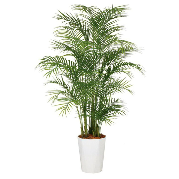 楽天市場】【メーカー直送】 観葉植物 造花 大型 アレカヤシ PE MIX a*a様 人工観葉植物 約220cm グリーン