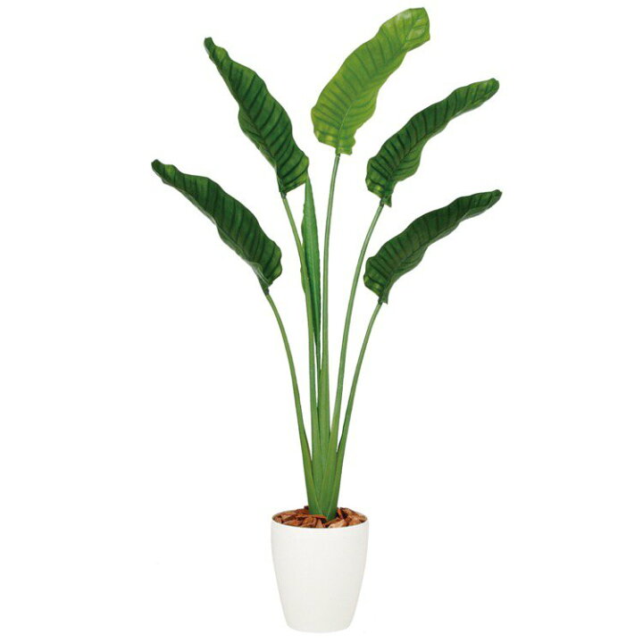 楽天市場 観葉植物 造花 ストレリチア オーガスタ ストレチア 160cm 鉢植 人工観葉植物 大型 フェイクグリーン 光触媒 Ct触媒 インテリア フェイクグリーンの神戸花物語