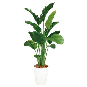 y[J[z tFCNO[ ^ Xg`AEI[KX^ MIX (Xg`A) 200cm A lHϗtA ϗtA  CeAysz