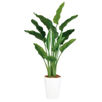 楽天市場】光触媒 フェイクグリーン（種類（植物）オーガスタ）の通販