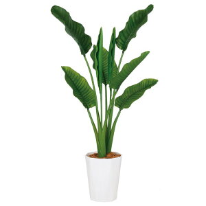 tFCNO[ ϗtA tFCN lHϗtA ^ G}  Xg`AEI[KX^ MIX (Xg`A) 130cm A ^ lHG} CTG} CeA