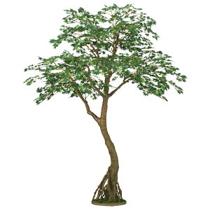 y[J[ztFCNO[ lHϗtA }~W GREEN RAbh 200cm {̂̂ A g  A G} CTG} CeA fBXvCysz