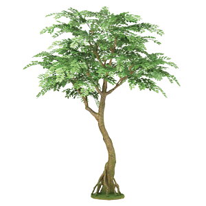 y[J[z tFCNO[ lHϗtA AJVA RAbh 200cm {̂̂ A g  A G} CTG} CeA fBXvC ysz