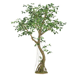 y[J[ztFCNO[ lHϗtA KW} RAbh 200cm {̂̂ A g  A G} CTG} CeA fBXvCysz