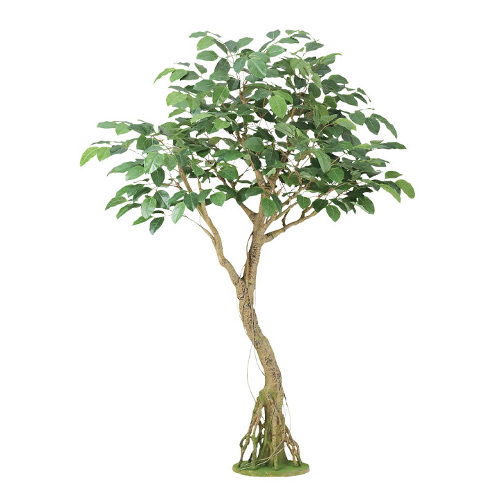 楽天市場】【メーカー直送】 フェイクグリーン 人工観葉植物 ベンガル 