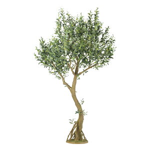 y[J[ztFCNO[ lHϗtA CvI[u RAbh 220cm {̂̂ A g  A G} CTG} CeA fBXvCysz