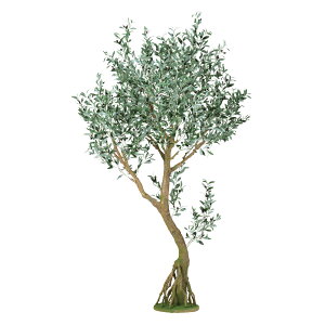 y[J[ztFCNO[ lHϗtA ubNI[u RAbh 230cm {̂̂ A g  A G} CTG} CeA fBXvCysz