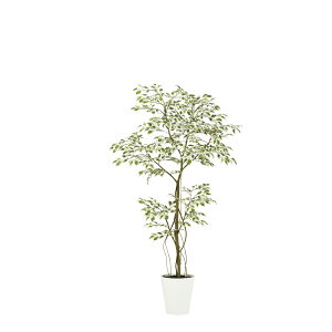 tFCNO[ ϗtA tFCN lHϗtA ^ G} lHX^[Cg FST 150cm A  A G} CTG} CeA fBXvC