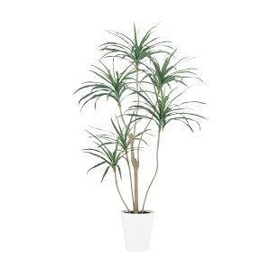 tFCNO[ ϗtA tFCN lHϗtA ^ G} lHRVl 180cm A  A G} CTG} CeA fBXvC