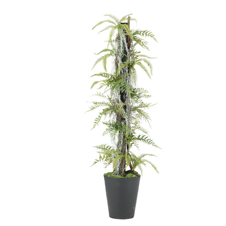 楽天市場】フェイクグリーン 観葉植物 フェイク 人工観葉植物 大型 